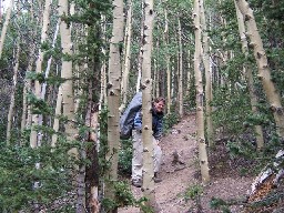 Old trail from Greenwood Canyon to Copper Park